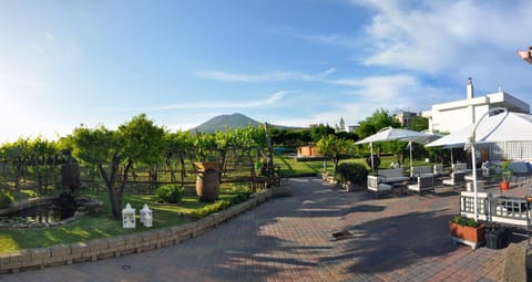 Property building, Garden view