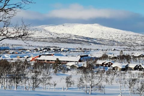 Neighbourhood, Natural landscape, Winter, Mountain view