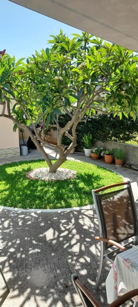 Elisabeth Villas Apartment in Samos, Greece