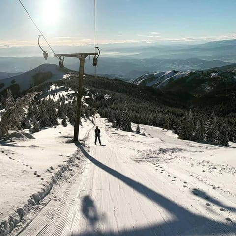 Apartman Kalina Suncani Breg Apartment in Serbia