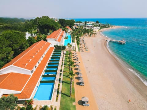 Bird's eye view, Beach, sunbed