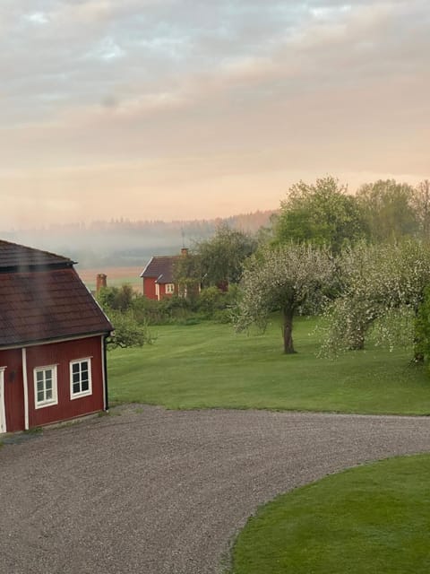 Natural landscape