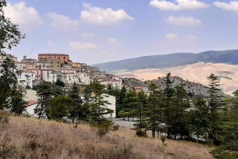 City view