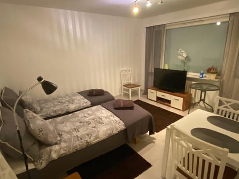 Koskentien yksiö Apartment in Finland