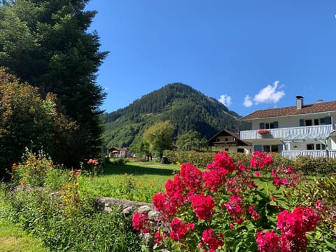 Garden, Garden view, Mountain view