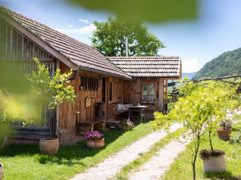 Arzenhof, Baron Di Pauli Apartment in Trentino-South Tyrol