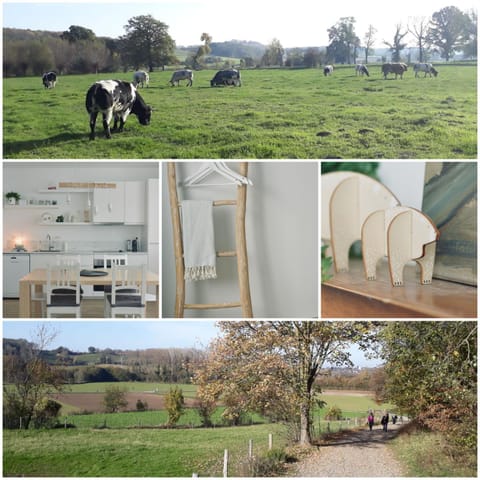 Kanne: charming house between nature and shopping House in Maastricht