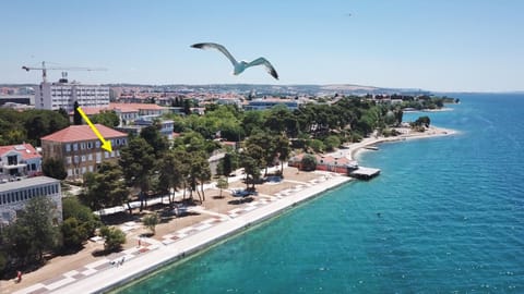 Apartman Nikki Kolovare Beach Apartment in Zadar