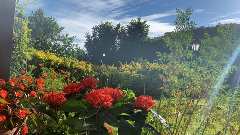 Vale das Estrelas - vale das videiras - araras House in State of Rio de Janeiro