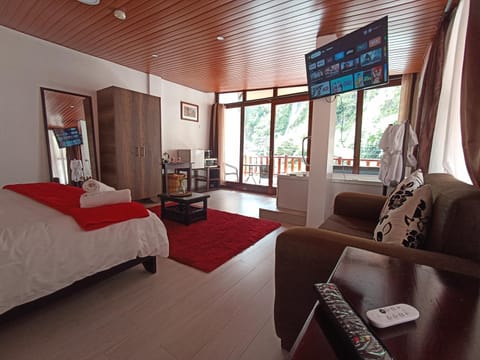 Hot Tub, TV and multimedia, Coffee/tea facilities, Balcony/Terrace, Photo of the whole room