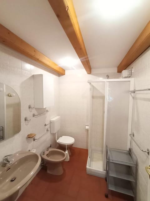 Shower, Toilet, Bathroom, bidet