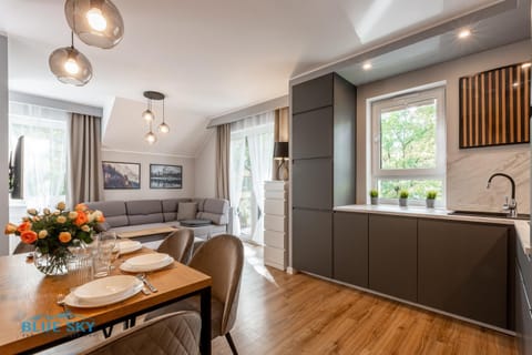 Kitchen or kitchenette, Living room