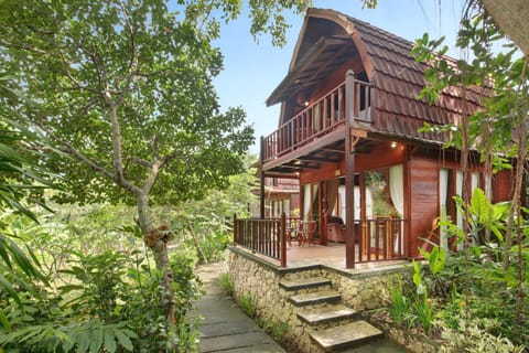 Property building, Garden view