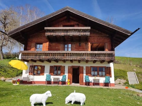 Property building, Spring