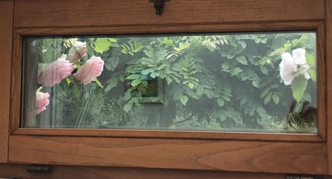 podere campanella Villa in Umbria