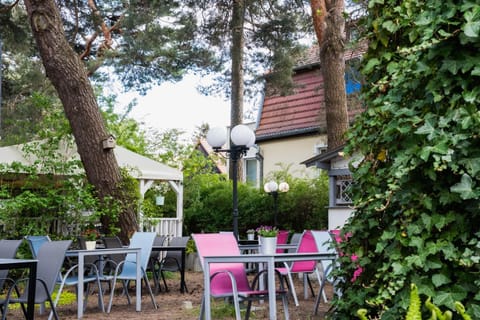 Spring, Day, Garden, Garden view