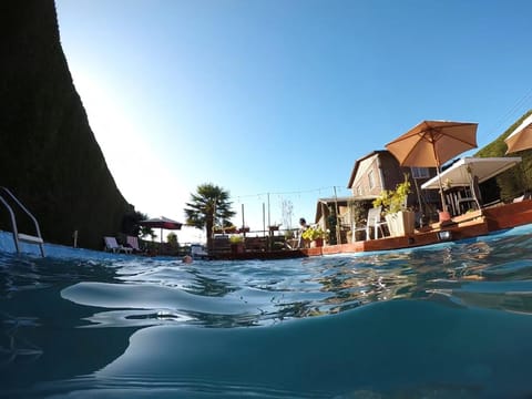 Day, Pool view, Swimming pool