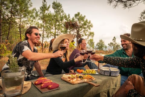 Day, People, Natural landscape, Food and drinks, Food, Guests, Meals, Lunch, Dinner, Drinks, Alcoholic drinks, Non alcoholic drinks, Sunset, group of guests