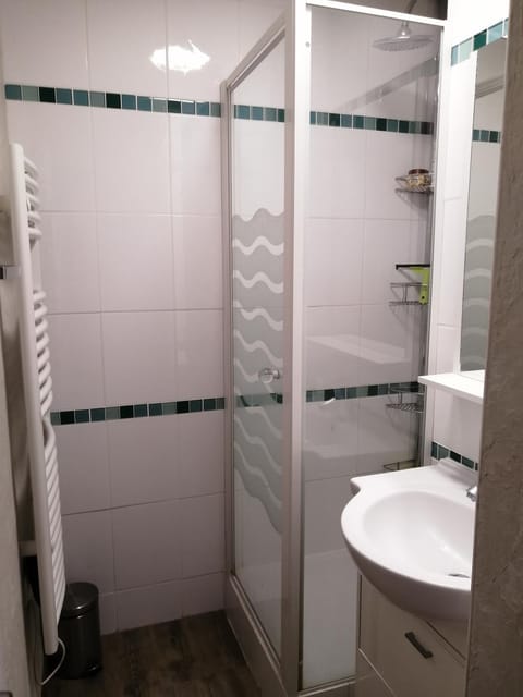 Appt 43 m2 Station Auris en Oisans - Alpes d huez Apartment in Auris