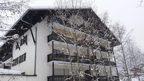 Ferienwohnung Spreng Apartment in Salzburgerland