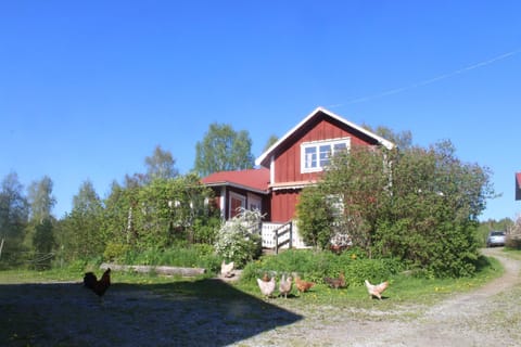 Property building, Animals