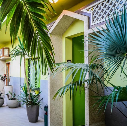 Patio, Garden, Garden view