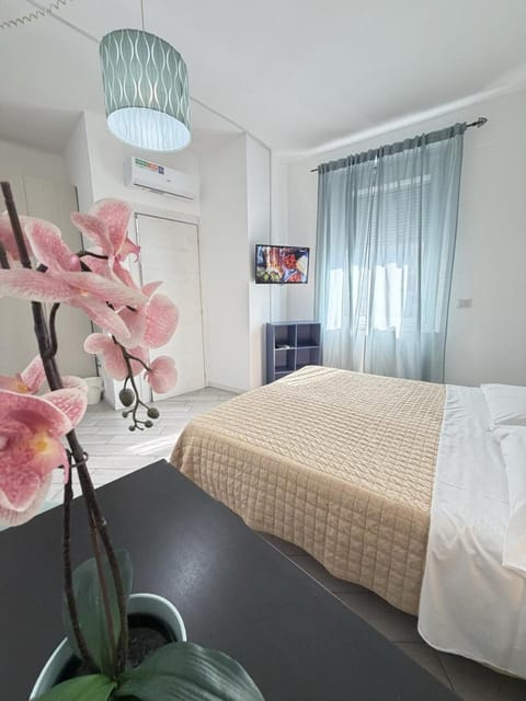 Bed, TV and multimedia