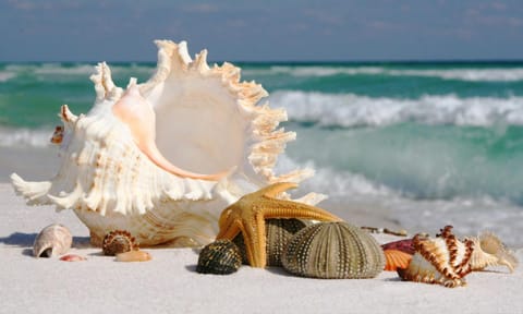 Natural landscape, Beach