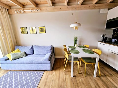 Oliwkowa Przystań Apartment in Pomeranian Voivodeship