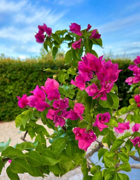 B&B Juniperus Bed and Breakfast in Sardinia