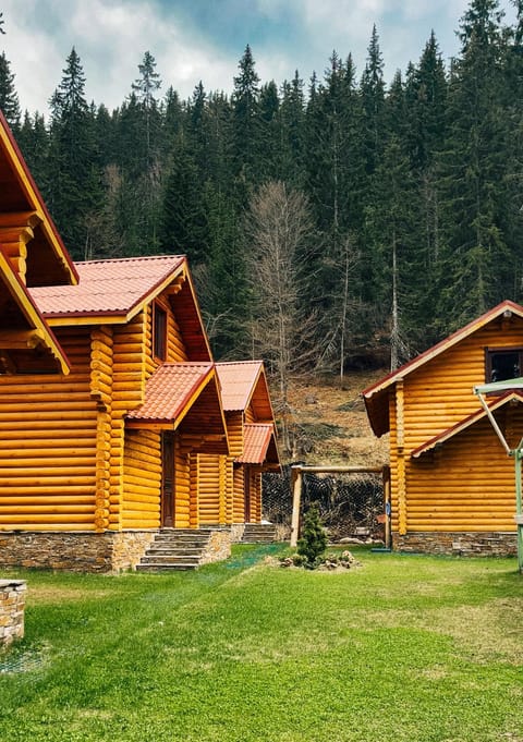 Property building, Garden, Garden view, Area and facilities