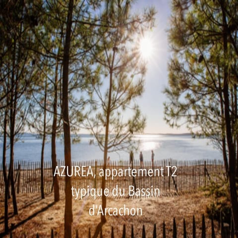 Day, Natural landscape, View (from property/room), Beach