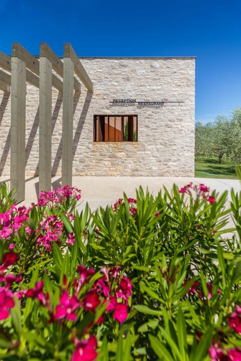 Property building, Garden, Garden view
