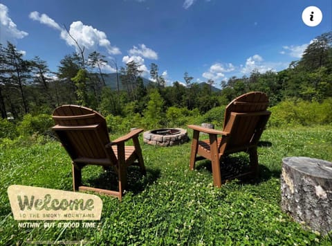 Spring, Day, Natural landscape