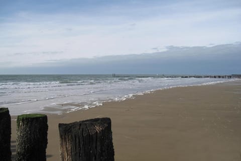Natural landscape, Beach