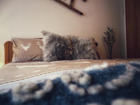 Casa Minela Apartment in Pie' Falcade