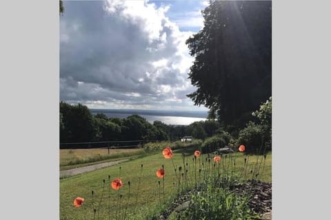 Garden view, Sea view