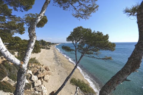 Property building, Natural landscape, Beach