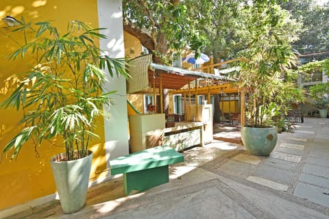 Garden, Lobby or reception