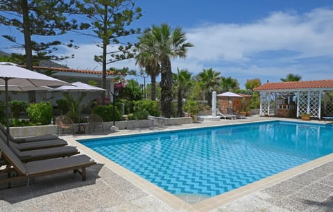 Garden, Swimming pool, sunbed