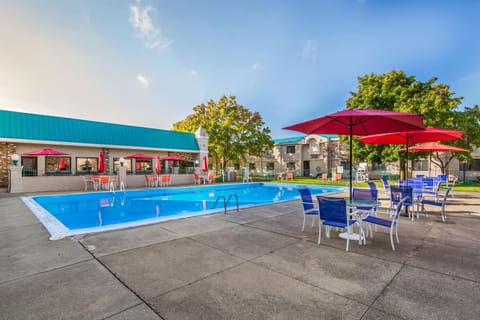 Pool view, Swimming pool