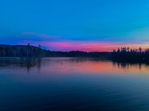 Cozy in the Woods House in Madison