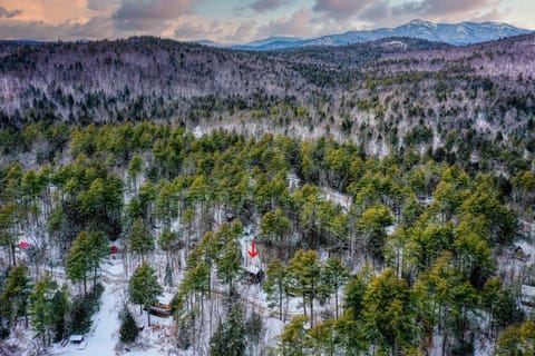 Cozy in the Woods House in Madison