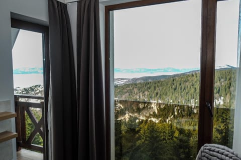 Vila Planinsko Blago Apartment in Serbia