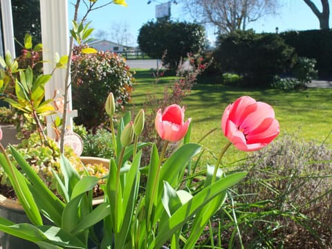 Colonial Court Motel Motel in Cambridge