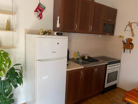 Zovin Breg Apartment in Zlatibor