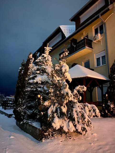 Zovin Breg Apartment in Zlatibor