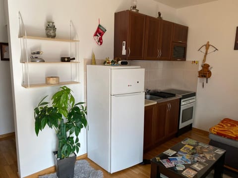 Zovin Breg Apartment in Zlatibor