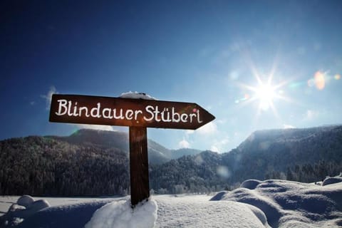 Feichtenhof Apartment in Salzburgerland