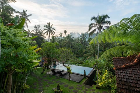 Natural landscape, Garden, Pool view, Swimming pool